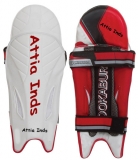 Wicket Keeping Pads